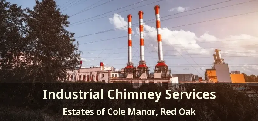 Industrial Chimney Services Estates of Cole Manor, Red Oak - TX