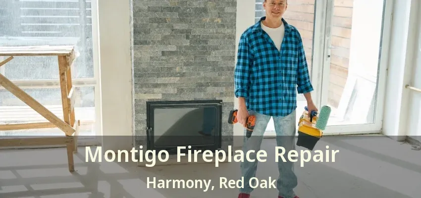 Montigo Fireplace Repair Harmony, Red Oak - TX