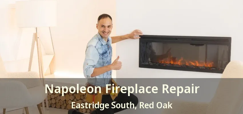 Napoleon Fireplace Repair Eastridge South, Red Oak - TX