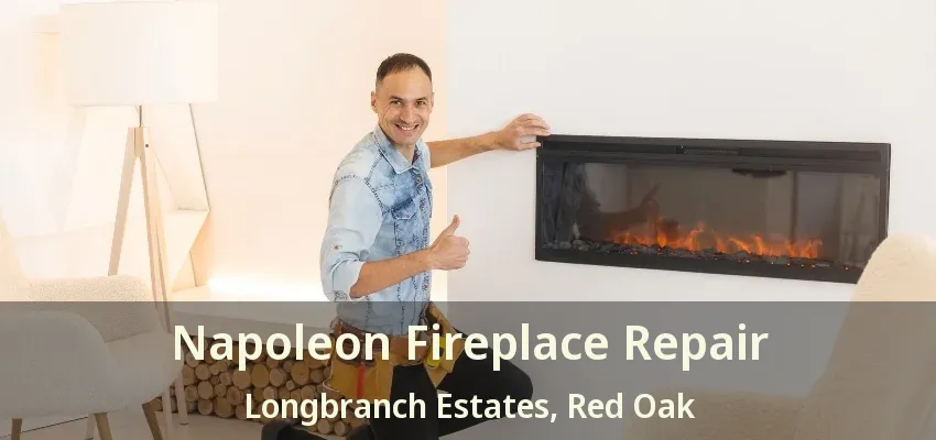 Napoleon Fireplace Repair Longbranch Estates, Red Oak - TX