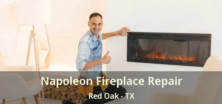 Napoleon Fireplace Repair Red Oak - TX