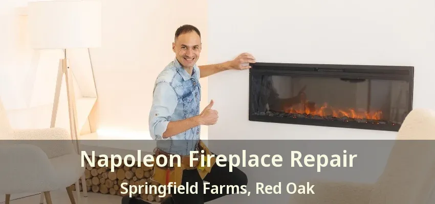 Napoleon Fireplace Repair Springfield Farms, Red Oak - TX