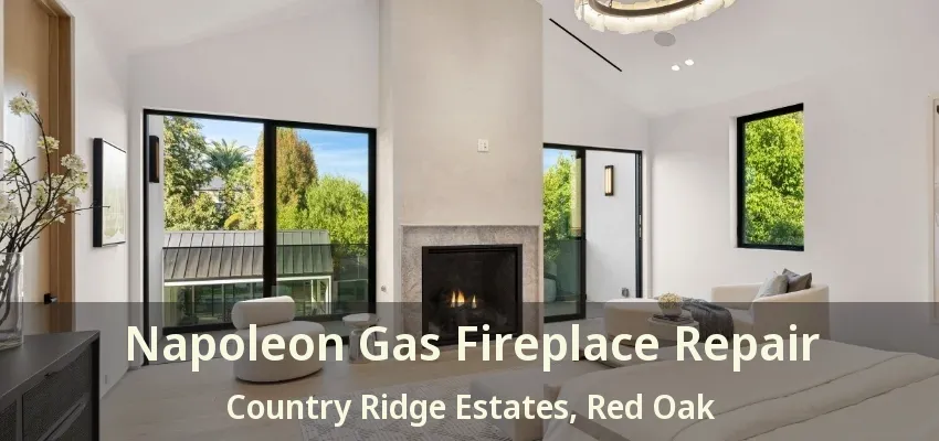 Napoleon Gas Fireplace Repair Country Ridge Estates, Red Oak - TX