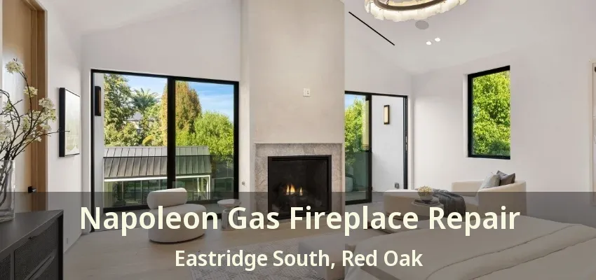 Napoleon Gas Fireplace Repair Eastridge South, Red Oak - TX