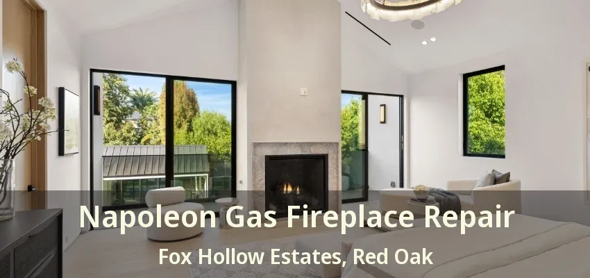 Napoleon Gas Fireplace Repair Fox Hollow Estates, Red Oak - TX