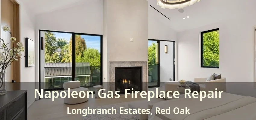 Napoleon Gas Fireplace Repair Longbranch Estates, Red Oak - TX