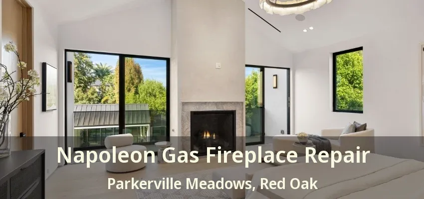 Napoleon Gas Fireplace Repair Parkerville Meadows, Red Oak - TX
