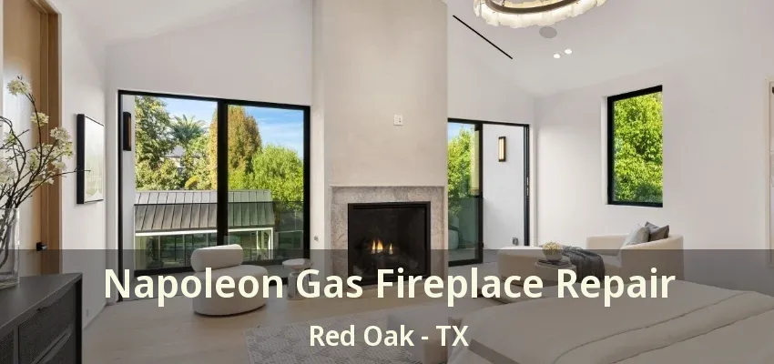 Napoleon Gas Fireplace Repair Red Oak - TX