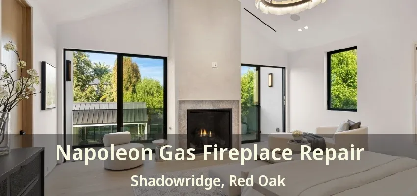 Napoleon Gas Fireplace Repair Shadowridge, Red Oak - TX