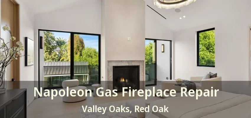 Napoleon Gas Fireplace Repair Valley Oaks, Red Oak - TX