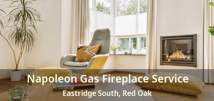 Napoleon Gas Fireplace Service Eastridge South, Red Oak - TX