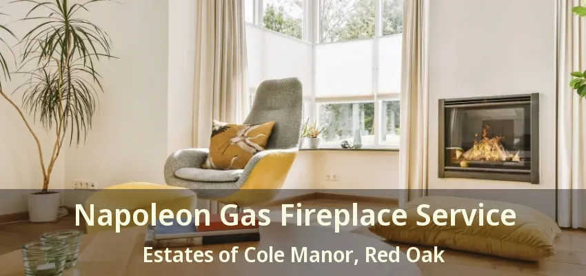Napoleon Gas Fireplace Service Estates of Cole Manor, Red Oak - TX