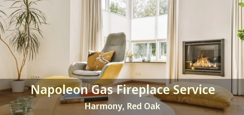Napoleon Gas Fireplace Service Harmony, Red Oak - TX