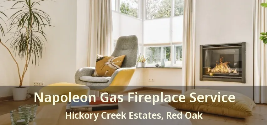 Napoleon Gas Fireplace Service Hickory Creek Estates, Red Oak - TX