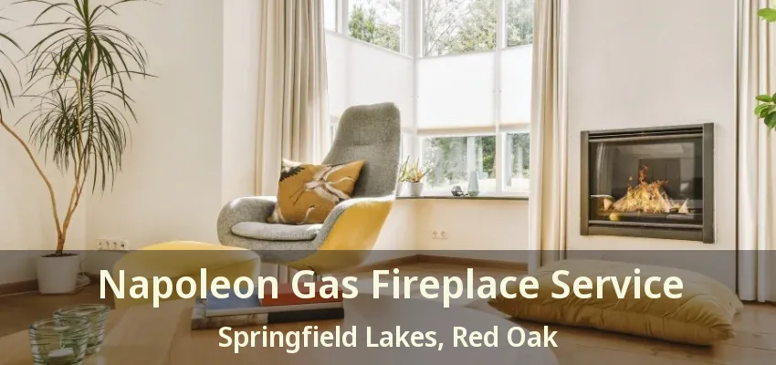 Napoleon Gas Fireplace Service Springfield Lakes, Red Oak - TX
