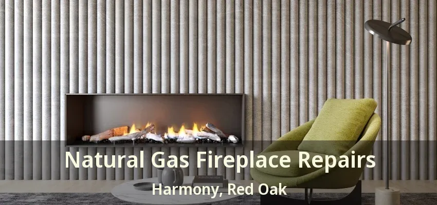 Natural Gas Fireplace Repairs Harmony, Red Oak - TX