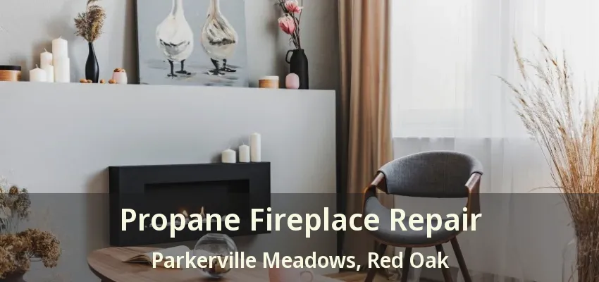 Propane Fireplace Repair Parkerville Meadows, Red Oak - TX
