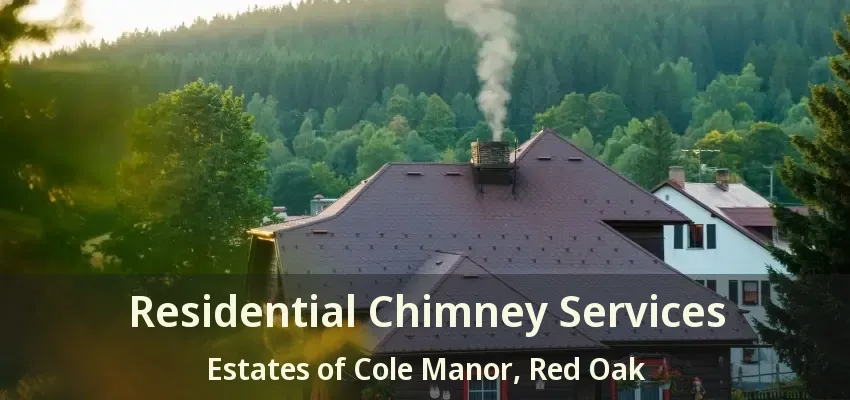 Residential Chimney Services Estates of Cole Manor, Red Oak - TX