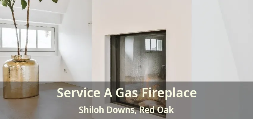Service A Gas Fireplace Shiloh Downs, Red Oak - TX