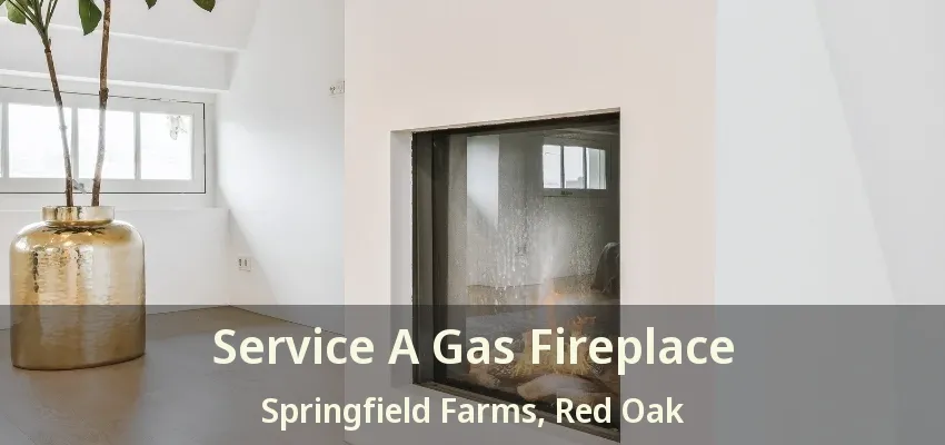 Service A Gas Fireplace Springfield Farms, Red Oak - TX