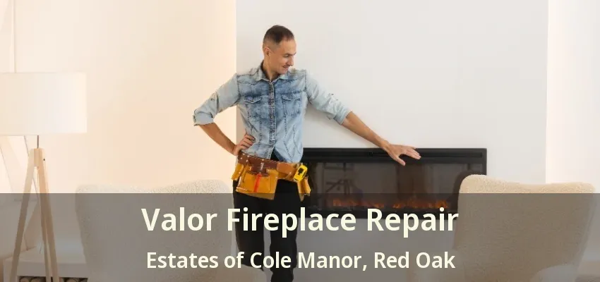 Valor Fireplace Repair Estates of Cole Manor, Red Oak - TX