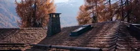 Chimney Animal Removal Eastridge South, Red Oak