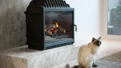 Wood Burning Fireplace Repair Eastridge South, Red Oak